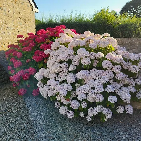 Vakantiehuis La Ferme De L'islet Biniville